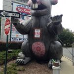 Stop & Shop Deli Slicer Training