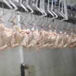 Stop & Shop Deli Slicer Training